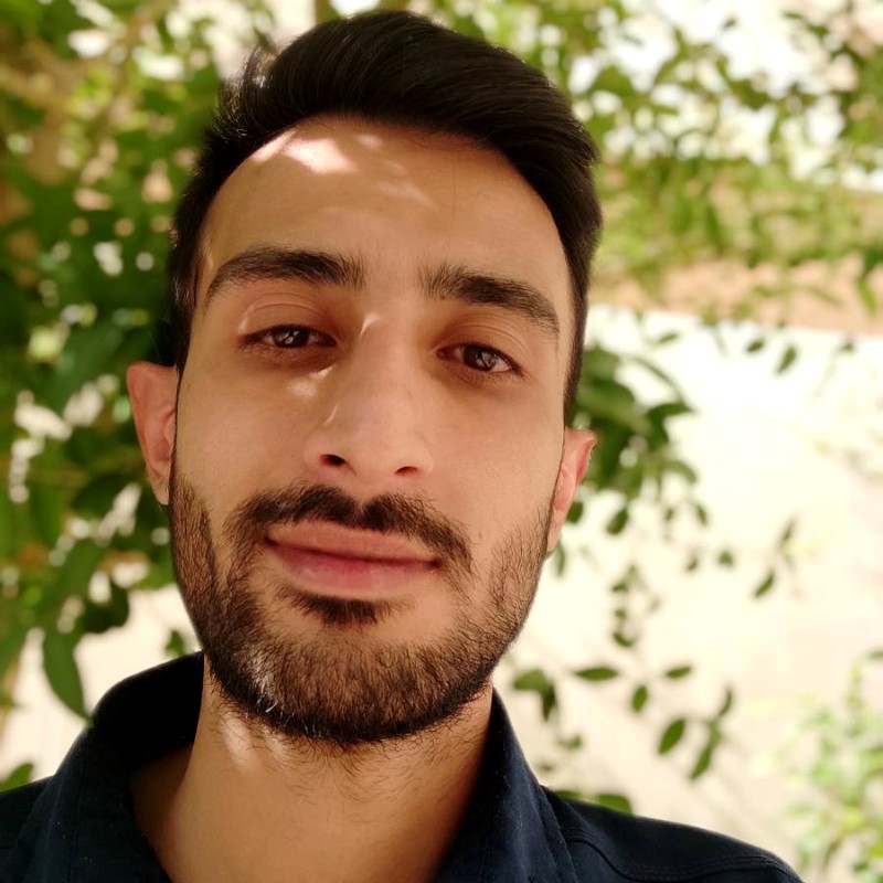 مهدی پشوتن، تحلیلگر ارشد سئو